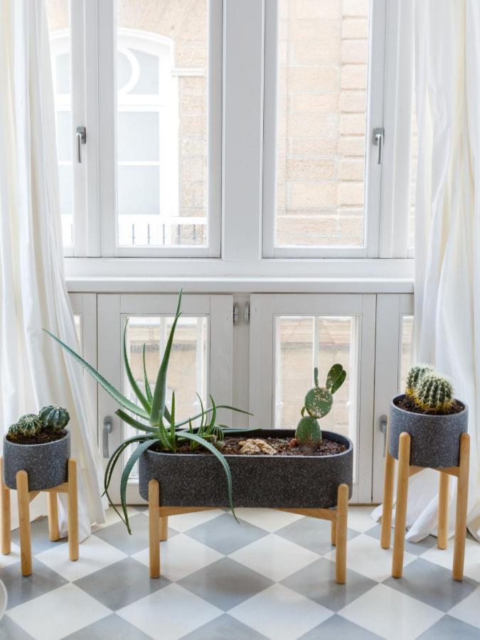 The Queen'S Designer Apartment By Cadiz4Rentals Kültér fotó